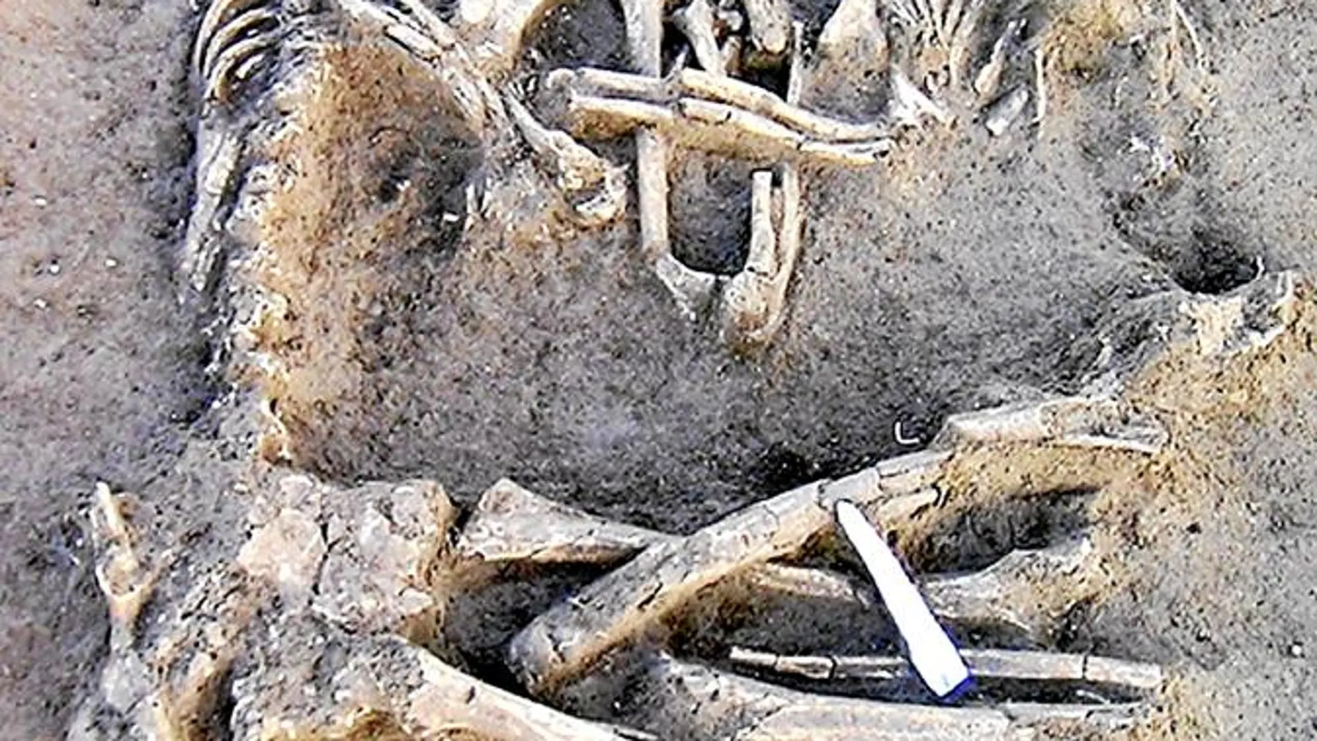 Dos esqueletos del Neolítico encontrados en Mantua (Italia)