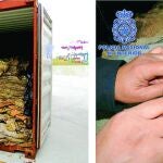 La droga incautada tenía como destino Madrid