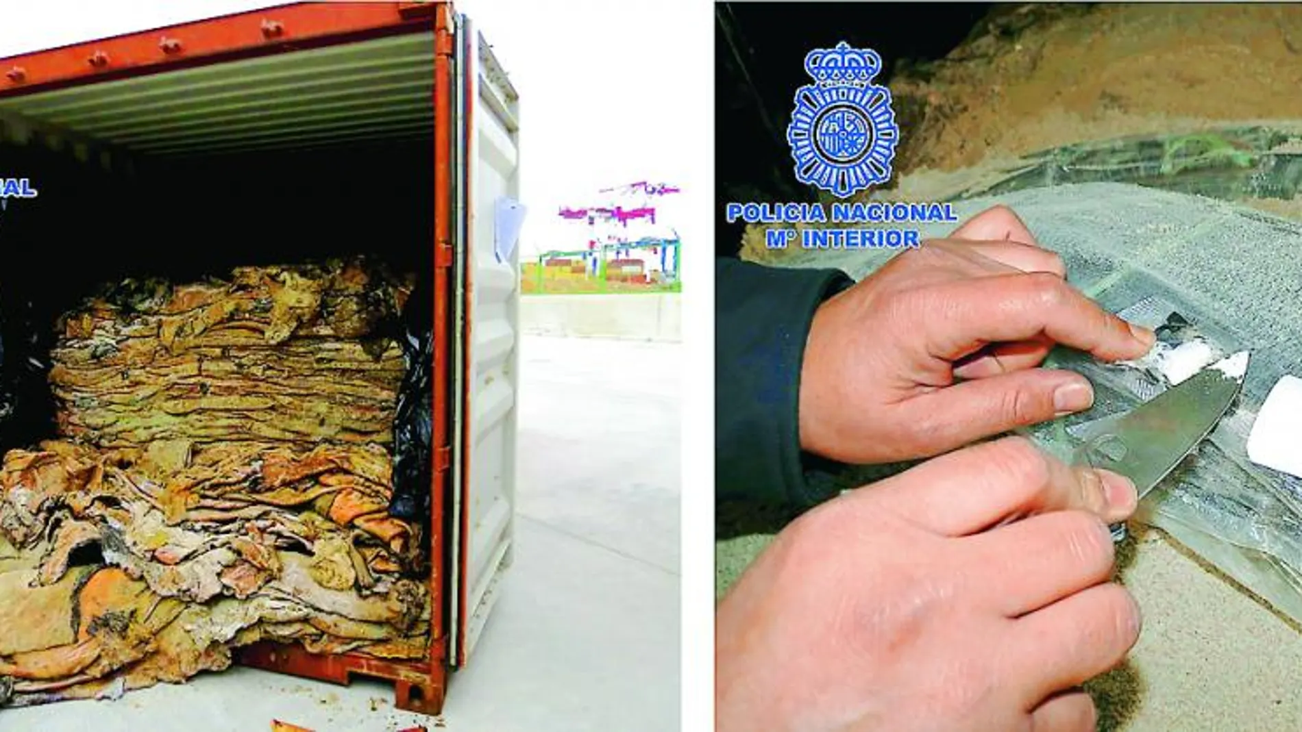 La droga incautada tenía como destino Madrid