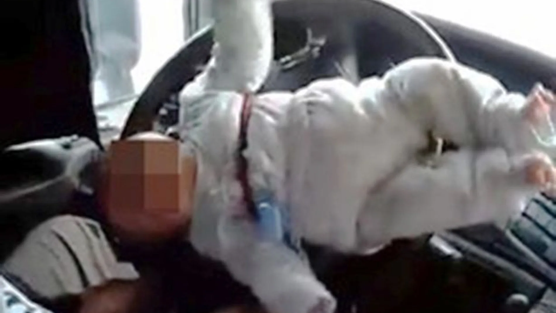 Captura del vídeo del bebé atado al volante
