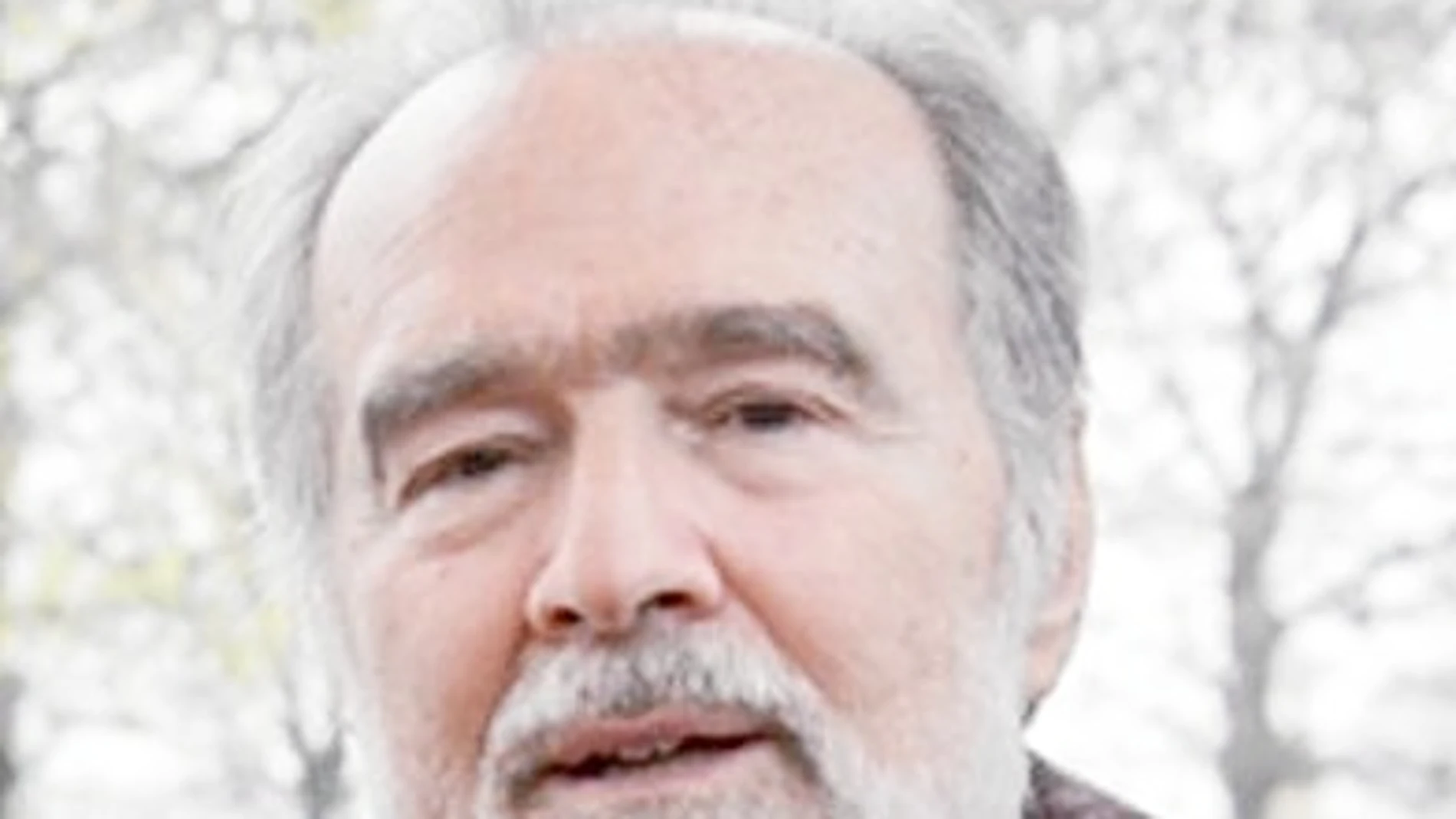 Gonzalo García Pelayo