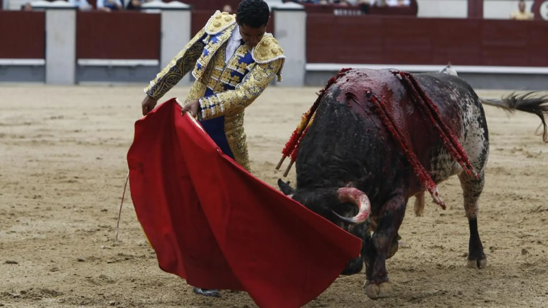 Toro de Partido de Resina lidiado por Serafín Marín en Las Ventas