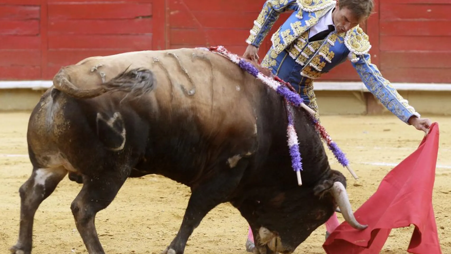 Palencia rebaja el canon y prioriza la contratación de toreros y ganado
