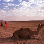 Un grupo de mujeres termina un día de trabajo de recogida de sal en las tierras de un antiguo lago en el remoto desierto del Sahara en Tichit, al este de la capital de Mauritania, Nouakchott