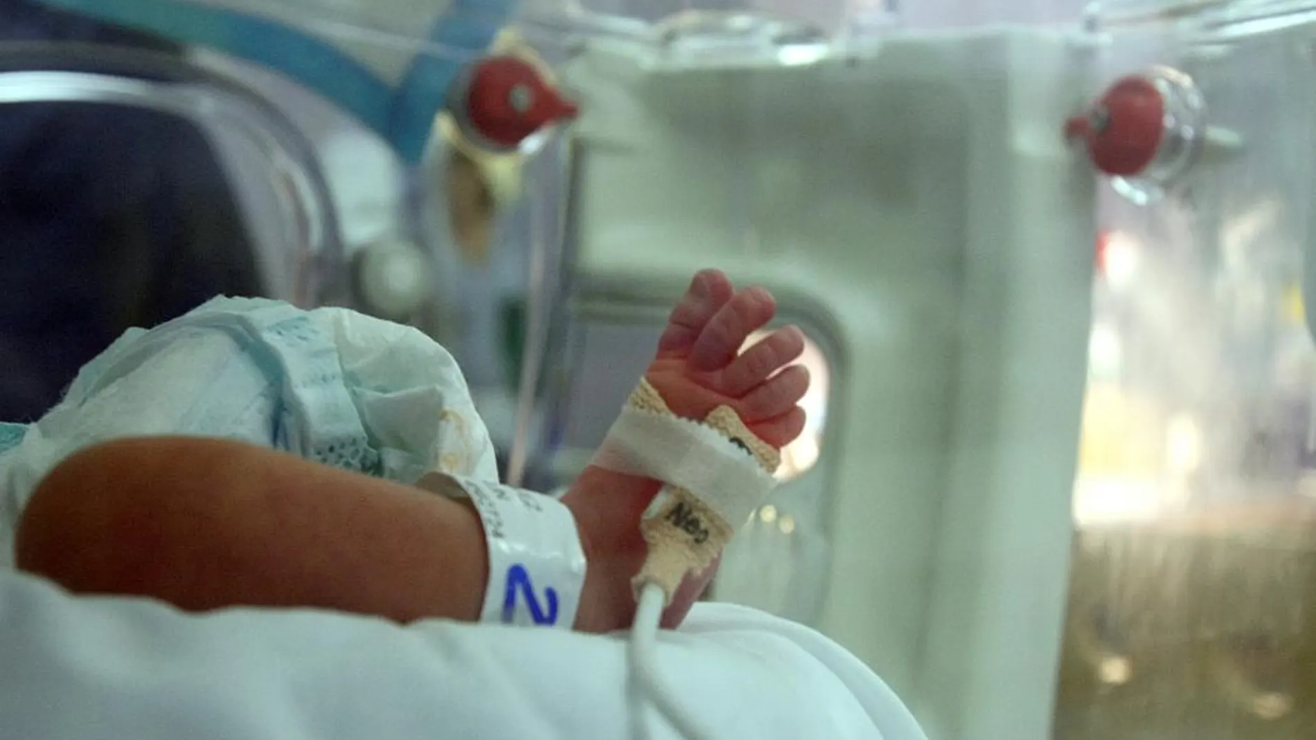 El exceso de amoníaco en la sangre eleva la mortalidad neonatal