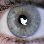 Redes sociales y empresas