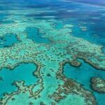 La Gran Barrera de Coral en Australia lucha por recuperar su esplendor