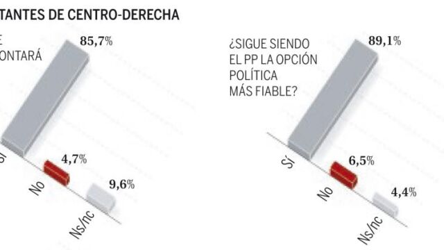 Los votantes del PP creen que remontará en 2015