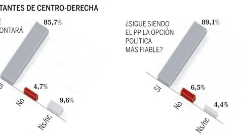 Los votantes del PP creen que remontará en 2015