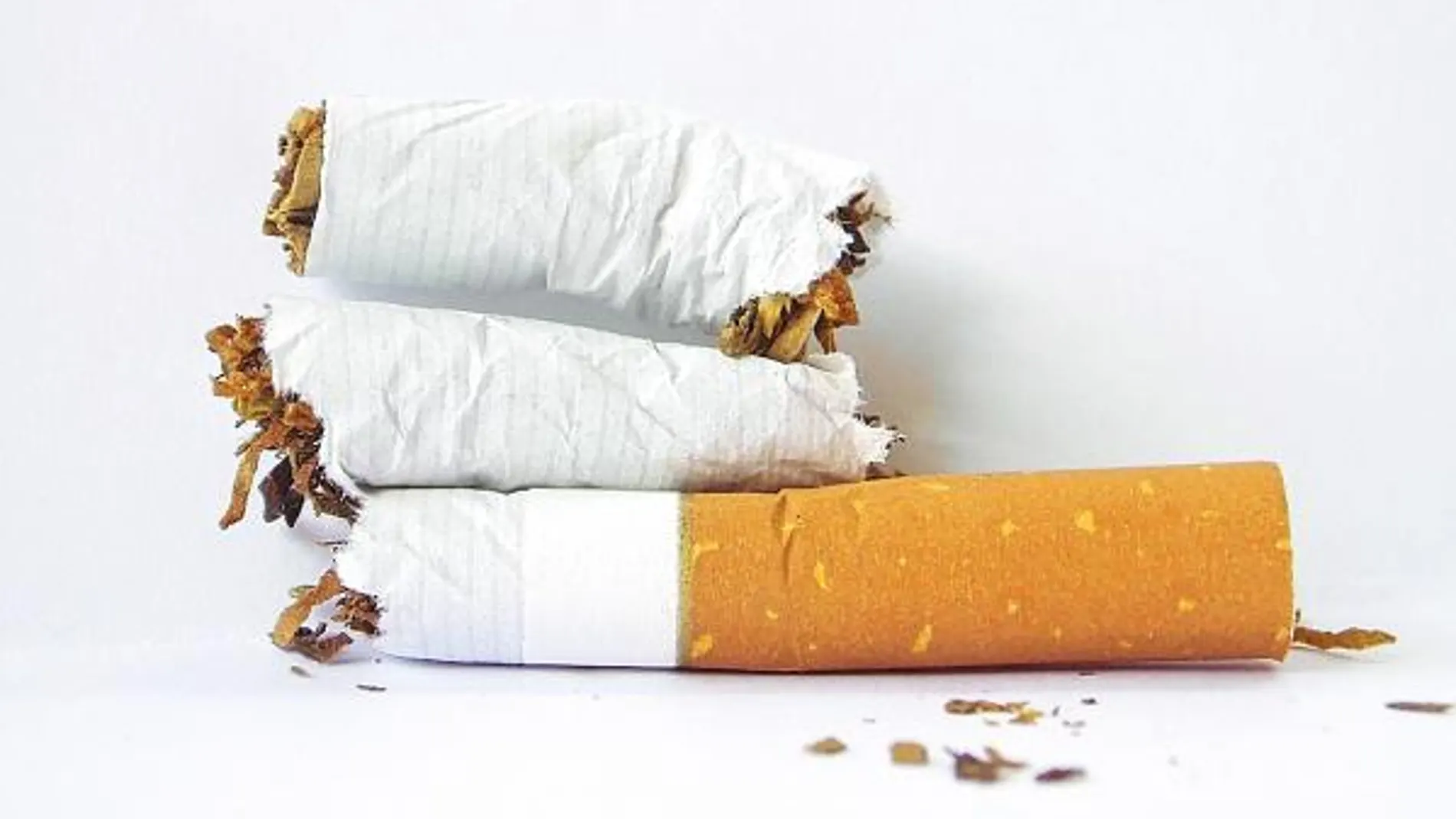La «receta» para prevenir el cáncer