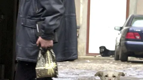 Los perros tienen a no interactuar con las personas desagradables con sus dueños, según un estudio