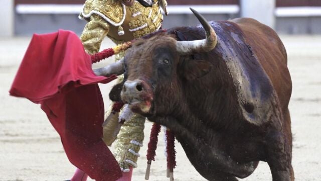 El diestro Paco Ureña.