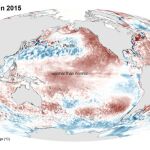 Ilustración cedida que muestra la temperatura media de la superficie del mar en febrero de 2015 según las medidas de los satélites de la Administración Nacional de Océanos y Atmósfera (NOAA).
