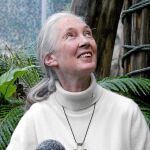 La reconocida primatóloga Jane Goodall