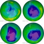 Evolución de la capa de ozono, según imágenes proporcionadas por la NASA, en 1979, 1989, 2006 y 2010