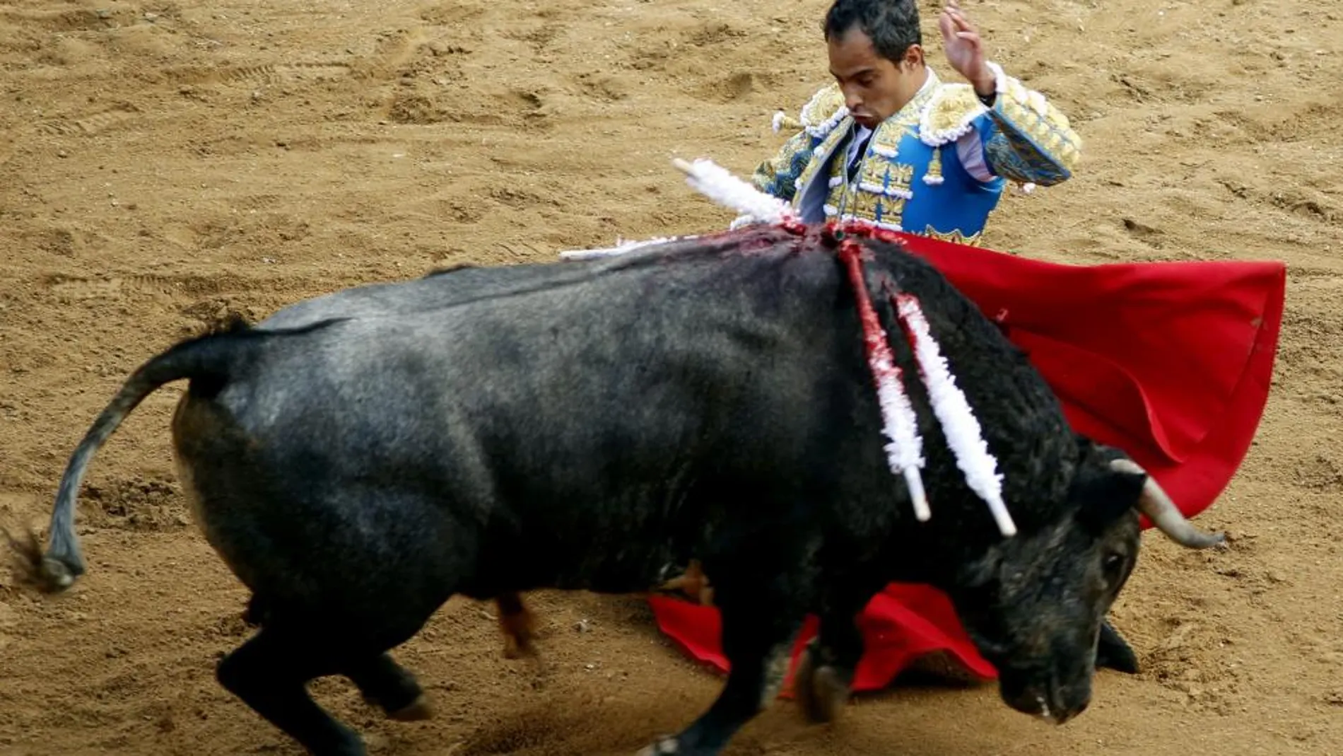 El torero colombiano Luis Bolívar lidia ayer un toro durante la temporada taurina de la Feria de Cali (Colombia).