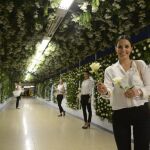 Un jardín de 18.000 rosas naturales en el metro de Madrid
