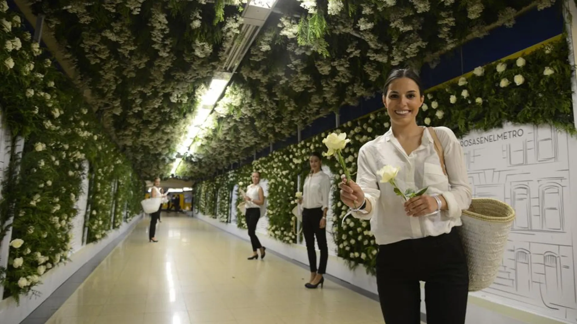 Un jardín de 18.000 rosas naturales en el metro de Madrid