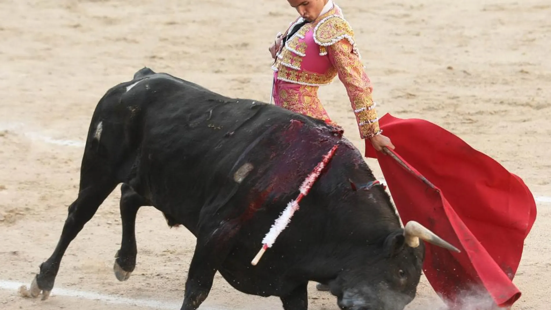 El torero Damián Castaño
