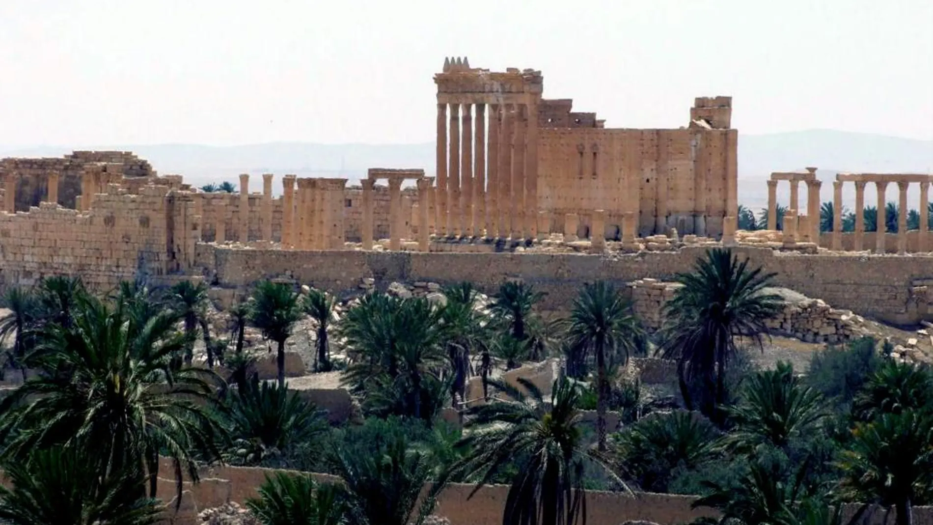 Palmira, la ciudad condenada a ser destruida