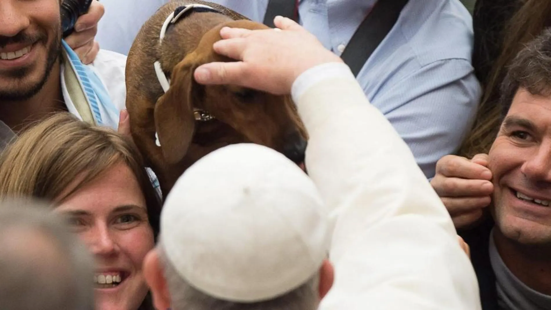El Papa Francisco acaricia a un perro durante su audiencia general de ayer en el Vaticano.