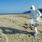 Un miembro del servicio de salud retira un ave muerta por la gripe aviar en Grecia, en una imagen de archivo