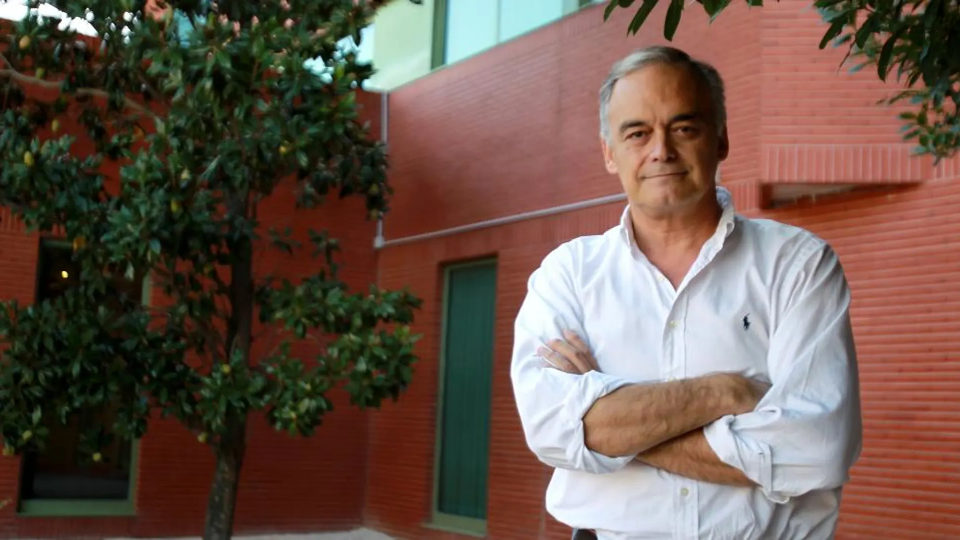 Eurodiputado del PP, Esteban González Pons