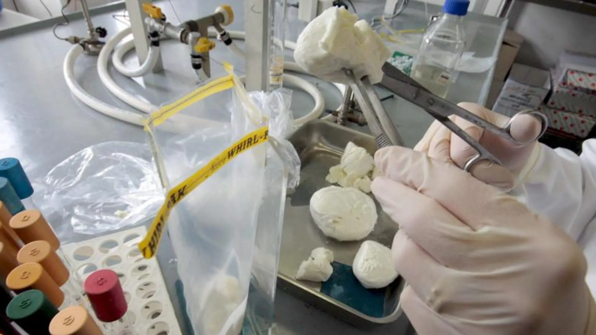 Un investigador analiza muestras de mozzarella de búfala