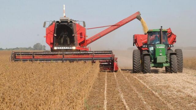Recogida de soja transgénica en una plantación argentina