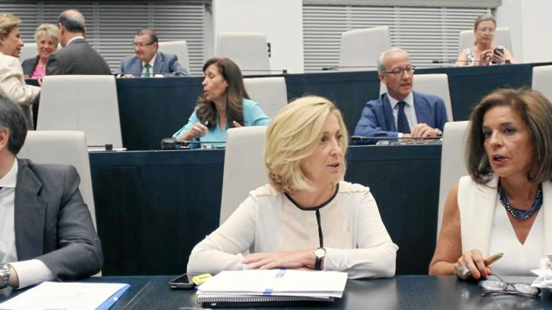 Los concejales de Ana Botella se dividen entre los que no tienen dudas de que seguirán y los que ya están buscando una salida profesional