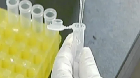 Se analiza el ácido nucleico en busca del virus.