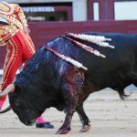 Derechazo del francés Sebastián Castella al quinto de la tarde, sobrero de Toros de El Torero