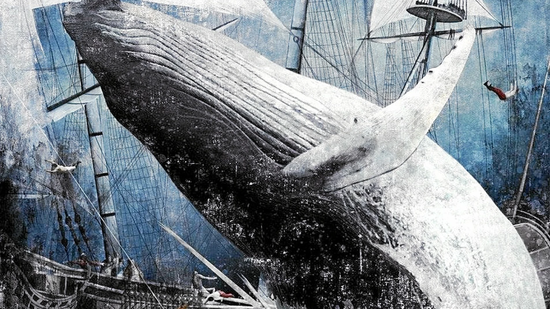 «Moby Dick», palabras nuevas para un clásico