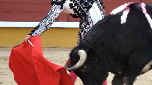 Abellán torea en redondo ayer en Guadalajara
