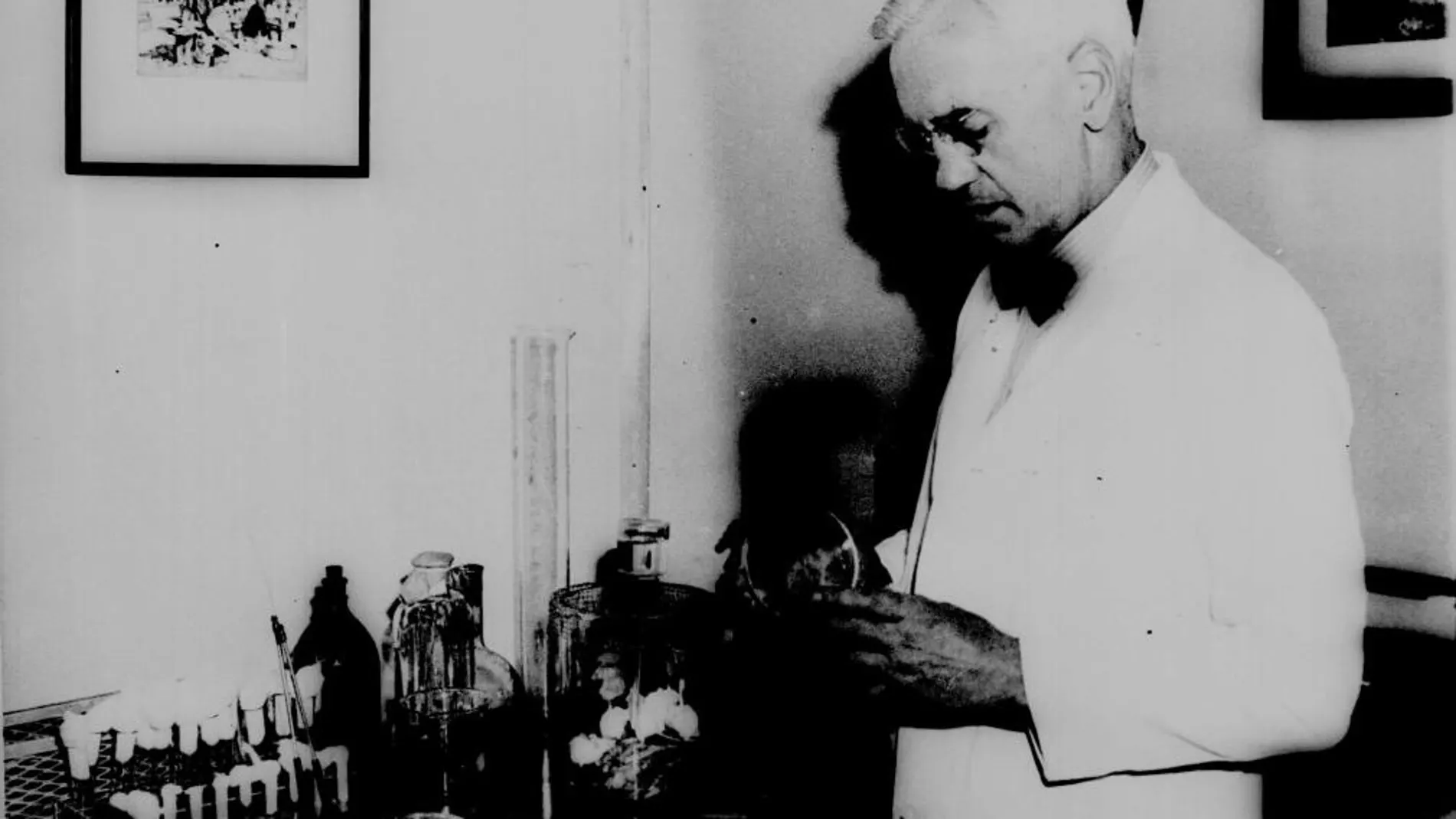 Alexander Fleming