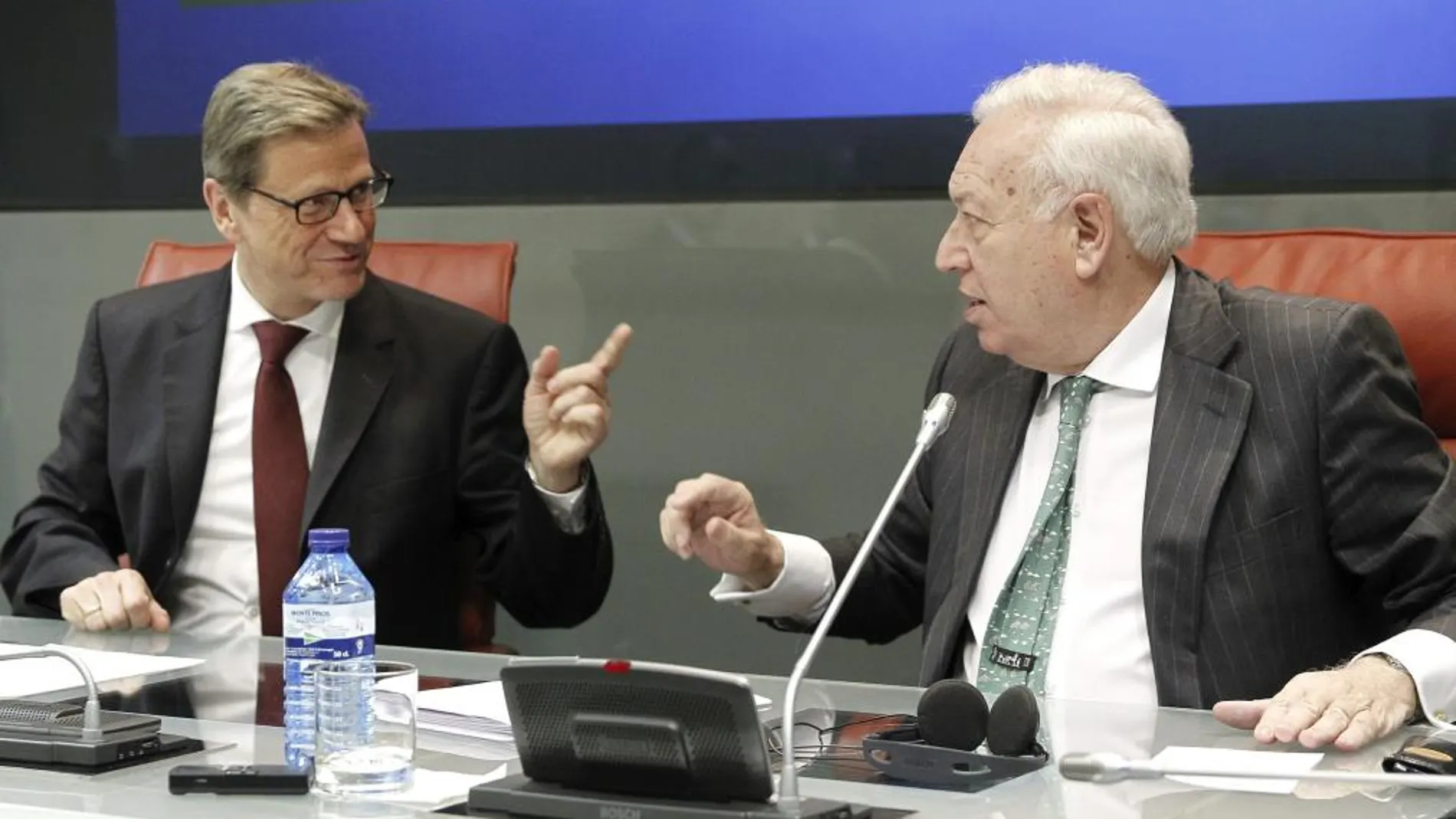 El ministro de Asuntos Exteriores, José Manuel García-Margallo (d), durante la rueda de prensa conjunta con su homólogo alemán, Guido Westerwelle, tras la reunión en el Palacio de Viana, en Madrid