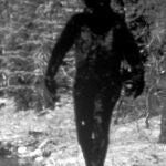 Foto de 1977 tomada de un film en el que aparece el supuesto Bigfoot