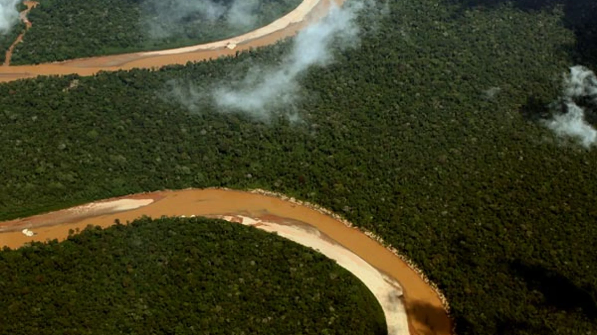 La selva del Amazonas