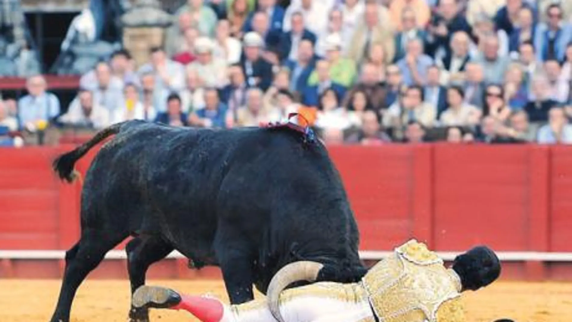 El Cid resultó volteado por el sexto, ayer en La Maestranza