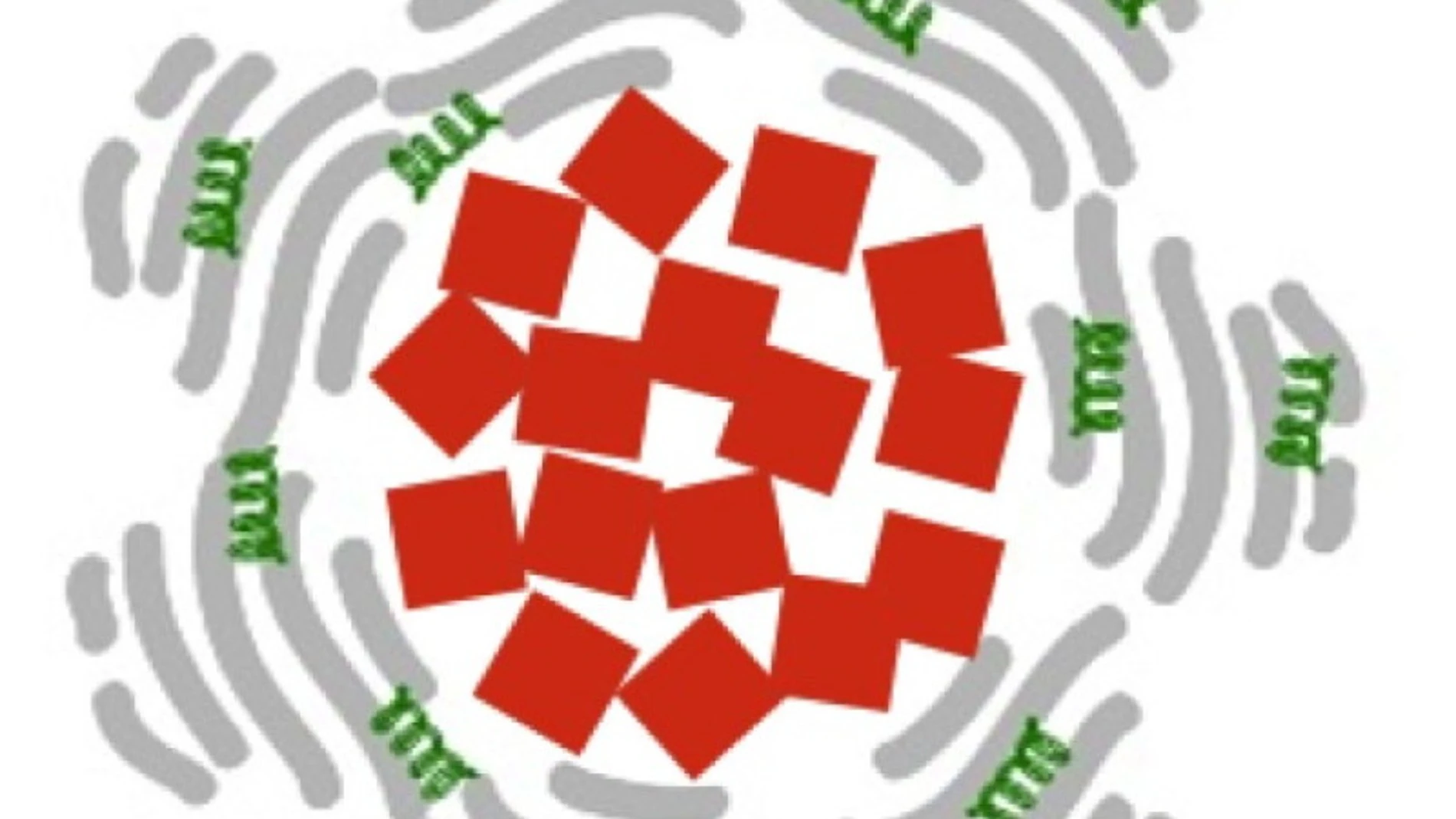 Cada nanopartícula está compuesta de un núcleo de óxido de hierro (cuadrados rojos) rodeado de albúmina (en gris) y del medicamento (tPA, en verde) que debe liberar