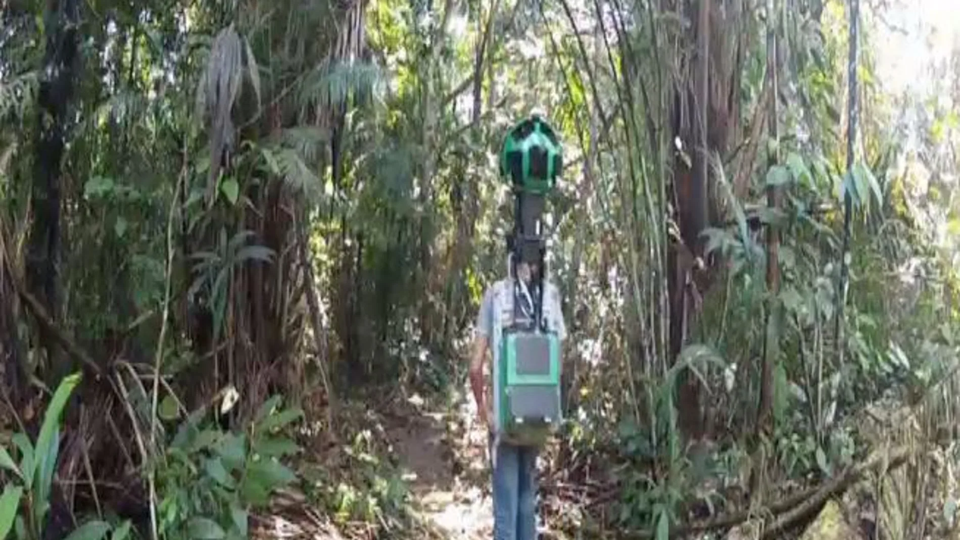 Entramos con Google en la selva amazónica, ¿nos acompañas?