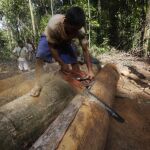 La deforestación de la selva amazónica creció un 29%