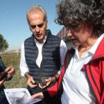 Se constata el regreso de la nutria a los ríos de Madrid gracias a la calidad del agua
