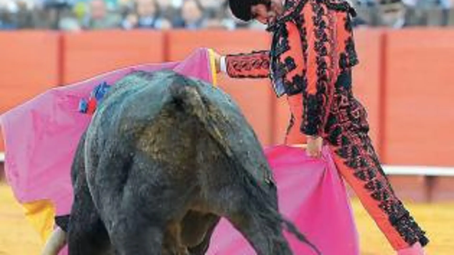 Morante toreando de capa, ayer en Sevilla