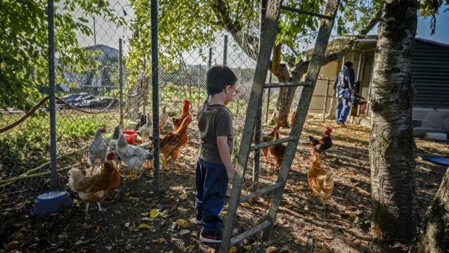 La familia de Ismael Carballo Cabanelas (en la imagen), un niño gallego con un grave déficit en la hormona de crecimiento, jamás olvidará la visita de los Reyes de España a un colegio de Ourense, puesto que allí se comprometieron a mediar por una solución para este menor