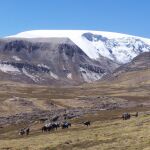El glaciar Quelccaya, en los Andes peruanos