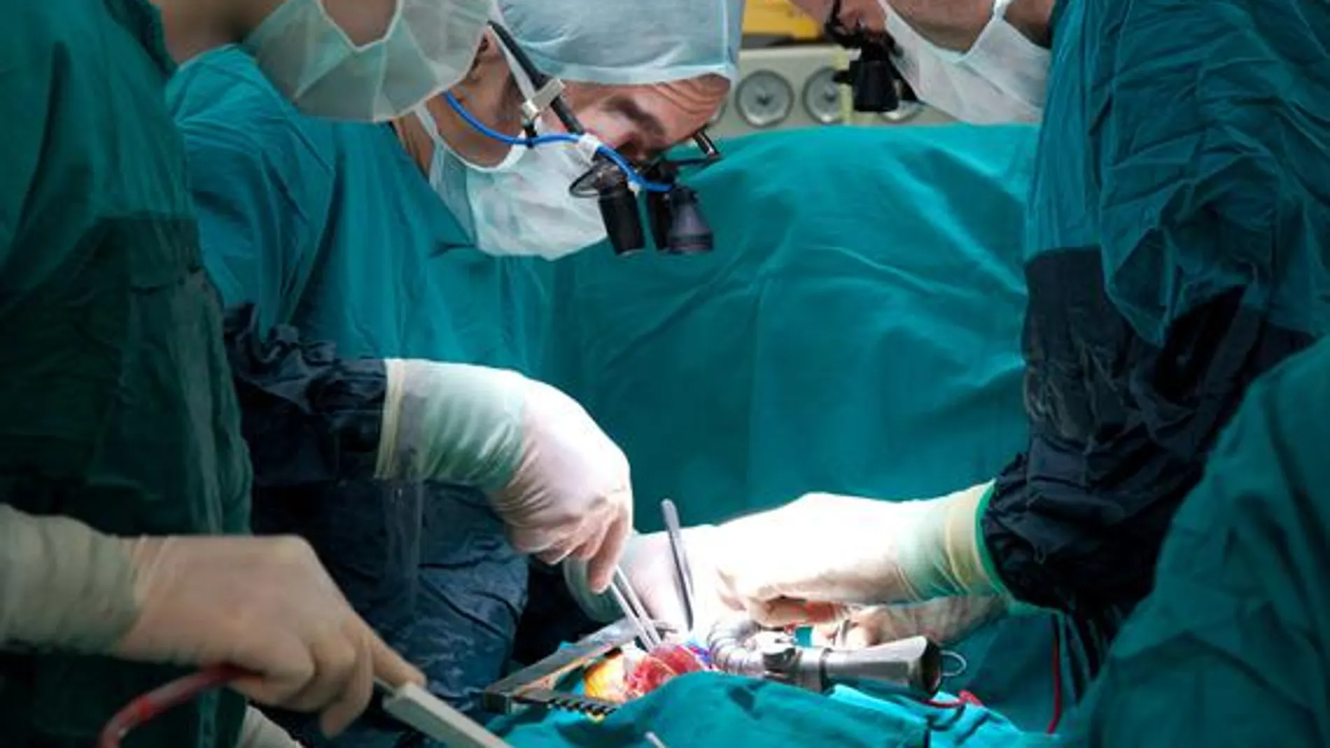 Se estima que entre un 15 y un 20% de los trasplantes renales son rechazados por el paciente