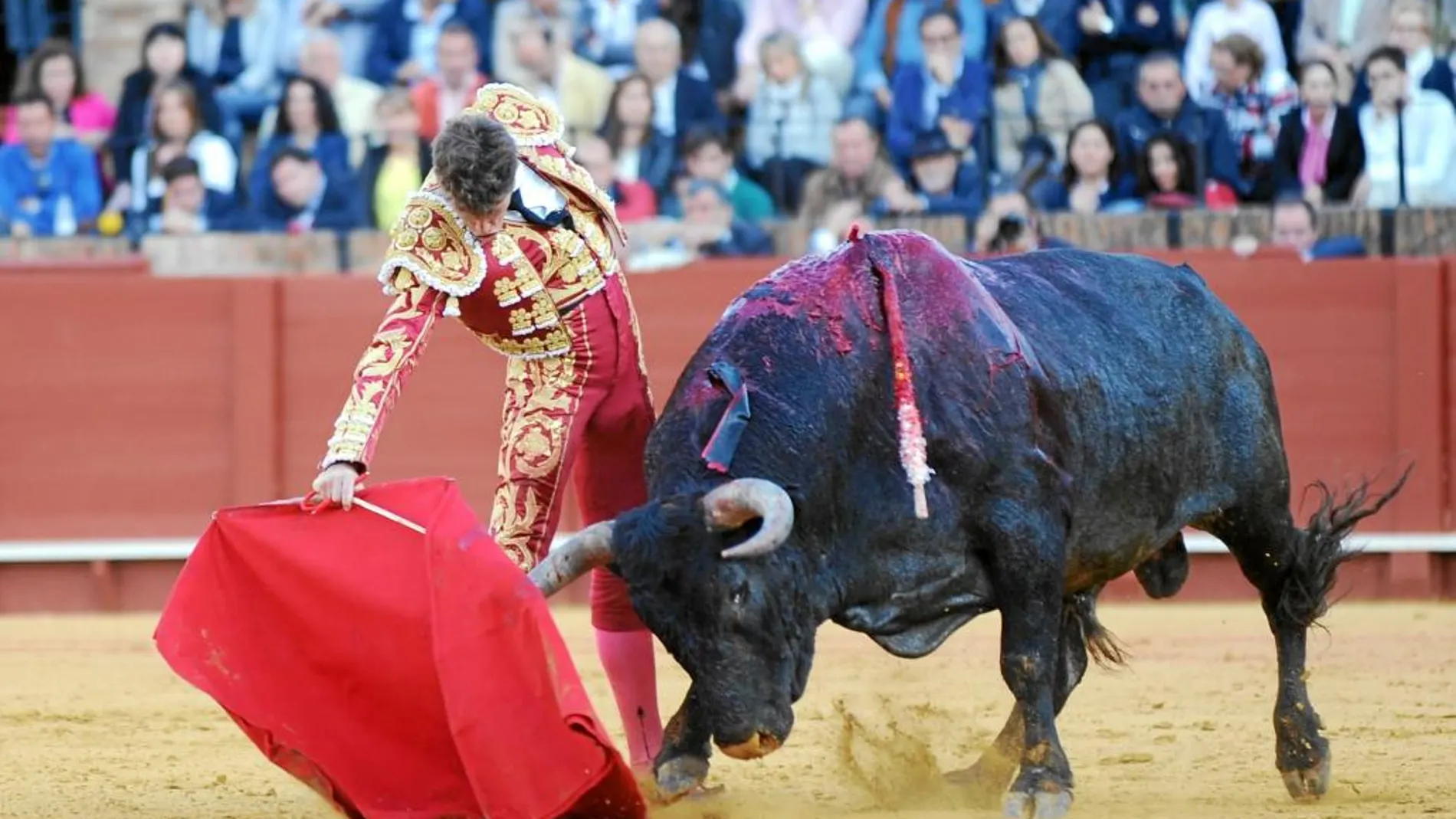 Trofeo. Manuel Escribano cortó una oreja al quinto de la tarde