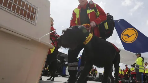 Un miembro de los equipos de rescate de Alemania y su perro se disponen a subir e un avión para volar a Nepal