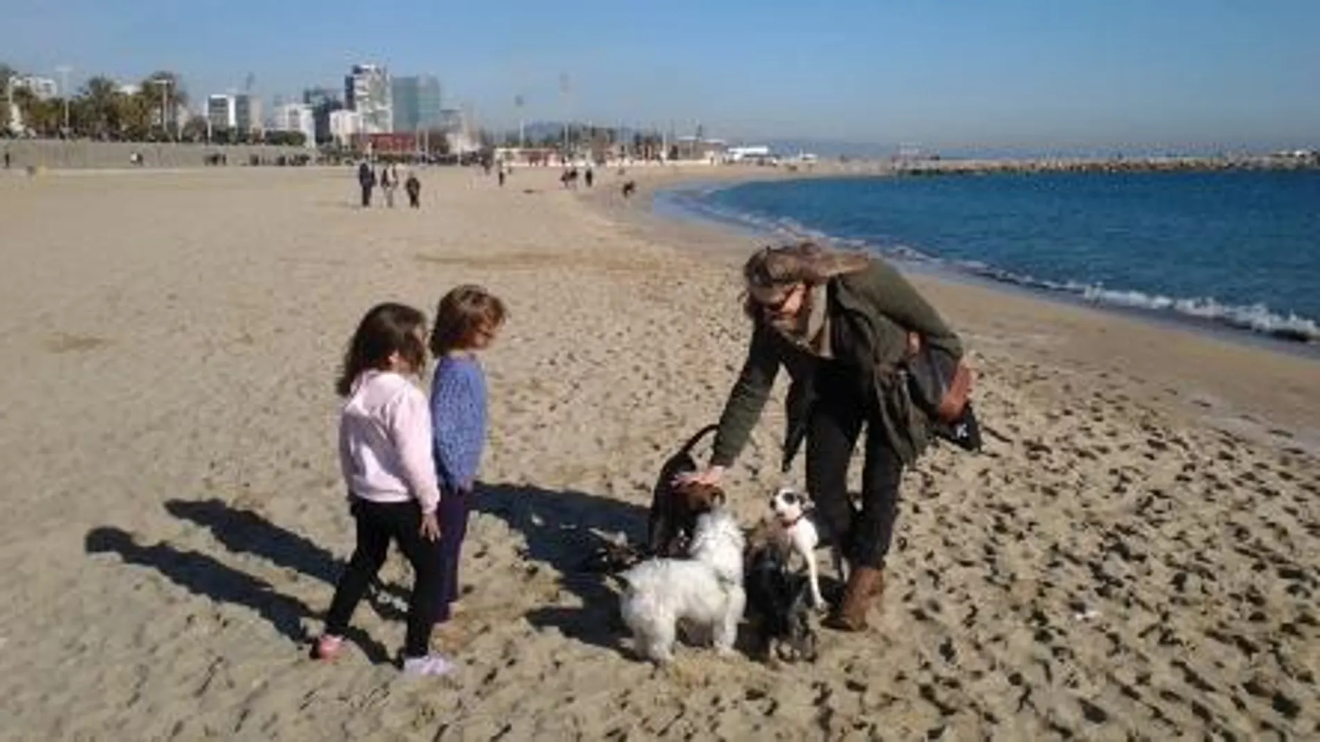 España dispone de 40 playas "amigas"de los perros